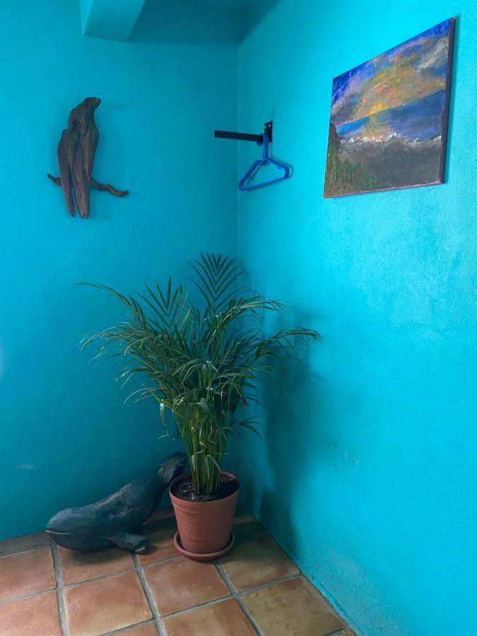 Casa Xochitl Bed & Breakfast El Centenario Екстериор снимка